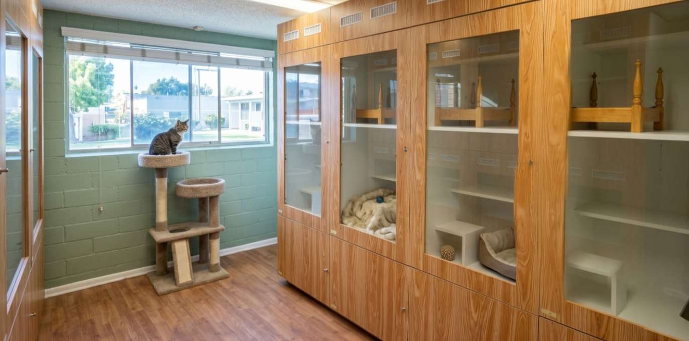 Cat suites at Canine Retreat